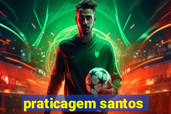 praticagem santos